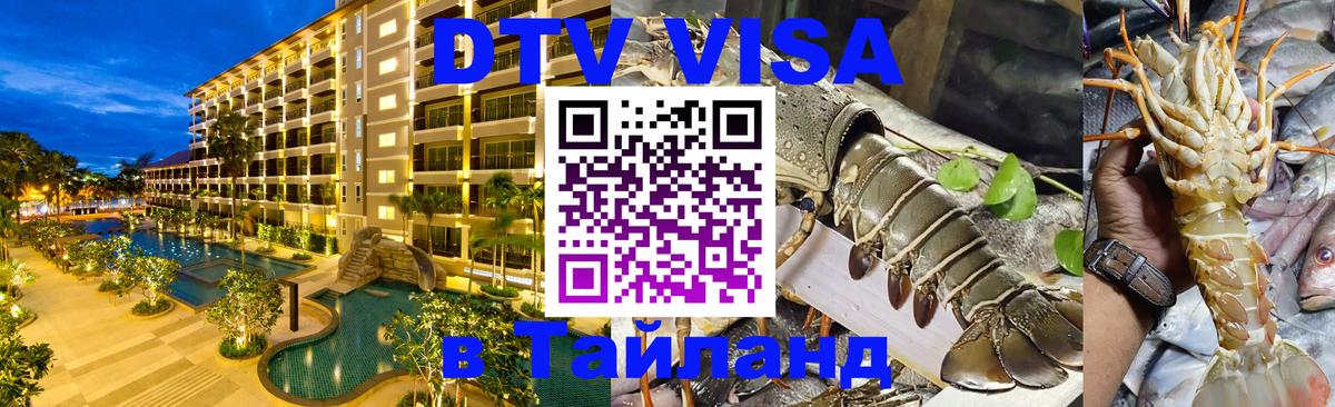 Оформление DTV визы под ключ: стоимость и тарифы, только загранпаспорт - 19.11.2025 